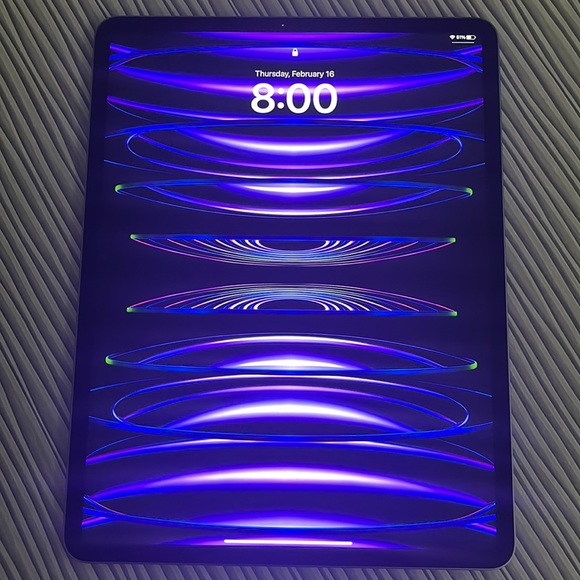 I am currently selling a iPad for the price of $2,200 and the color is gray - Picture 4 of 5